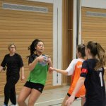 2018_01_13 Landesliga Jugend 15